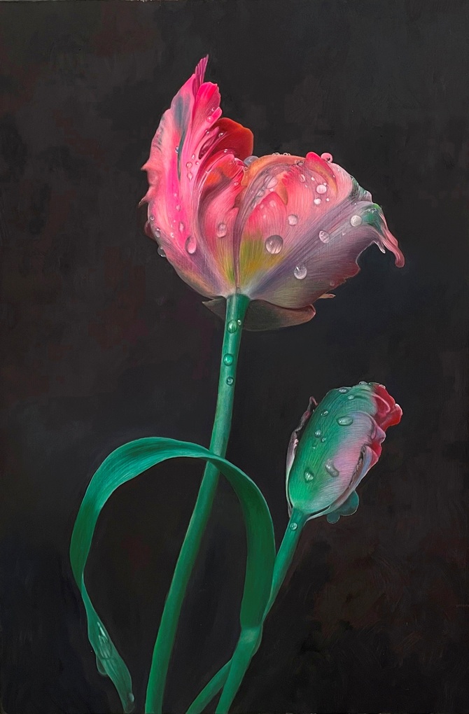 Rembrandt Tulips, 2023 – Botanical oil painting on panel, 46 x 31 cm – Ginny Page